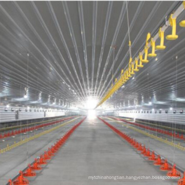 steel frame commercial poultry house for 10000 chickens